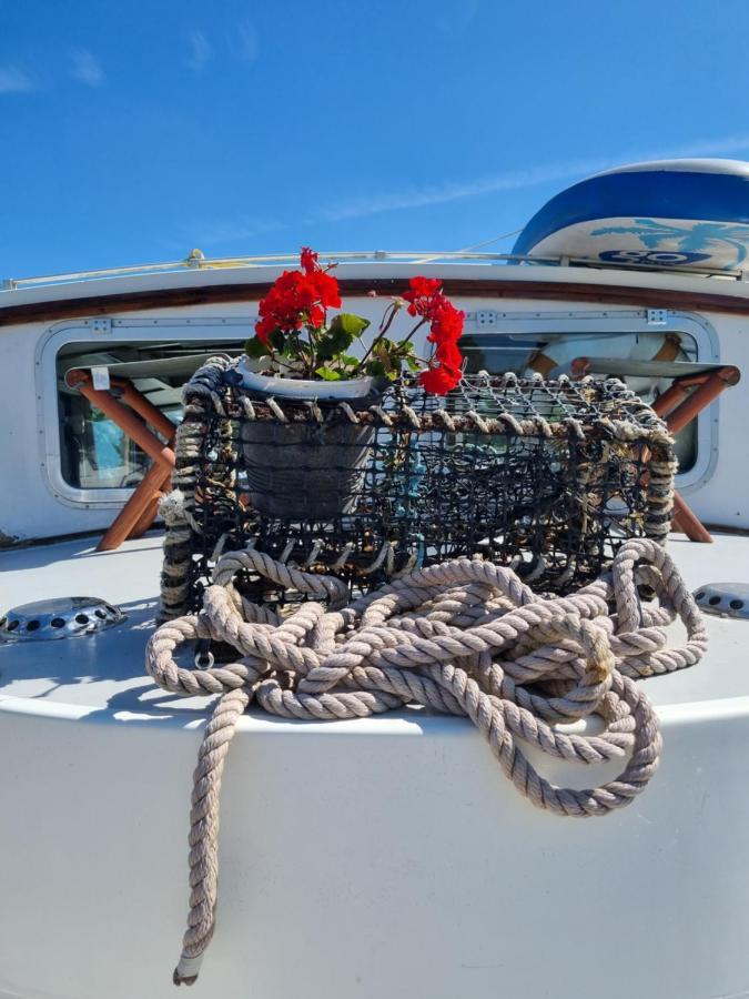 מלון Thorpe  Traditional Boat מראה חיצוני תמונה